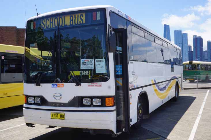 CDC NSW Blue Mountains Hino RG230 Custom 510 3731